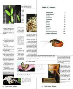 Breeding Insects as feeder food sample pages